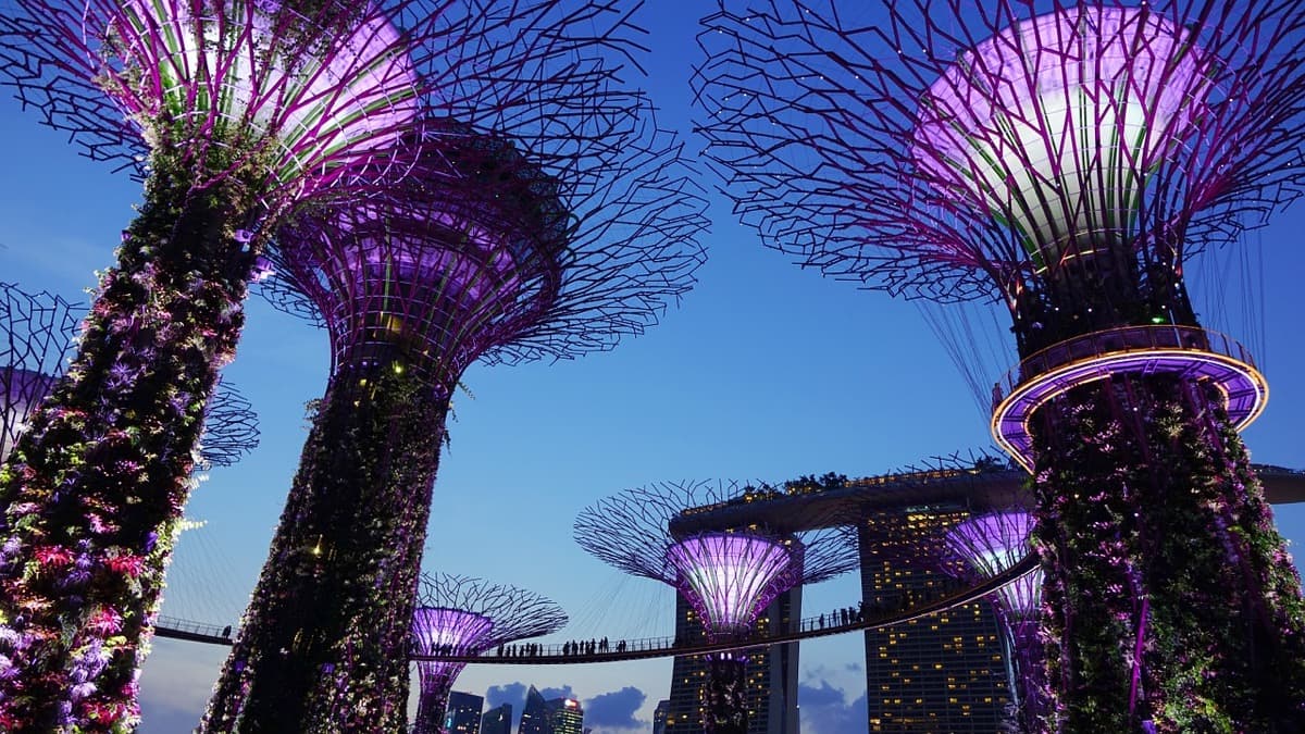 business flights to singapore