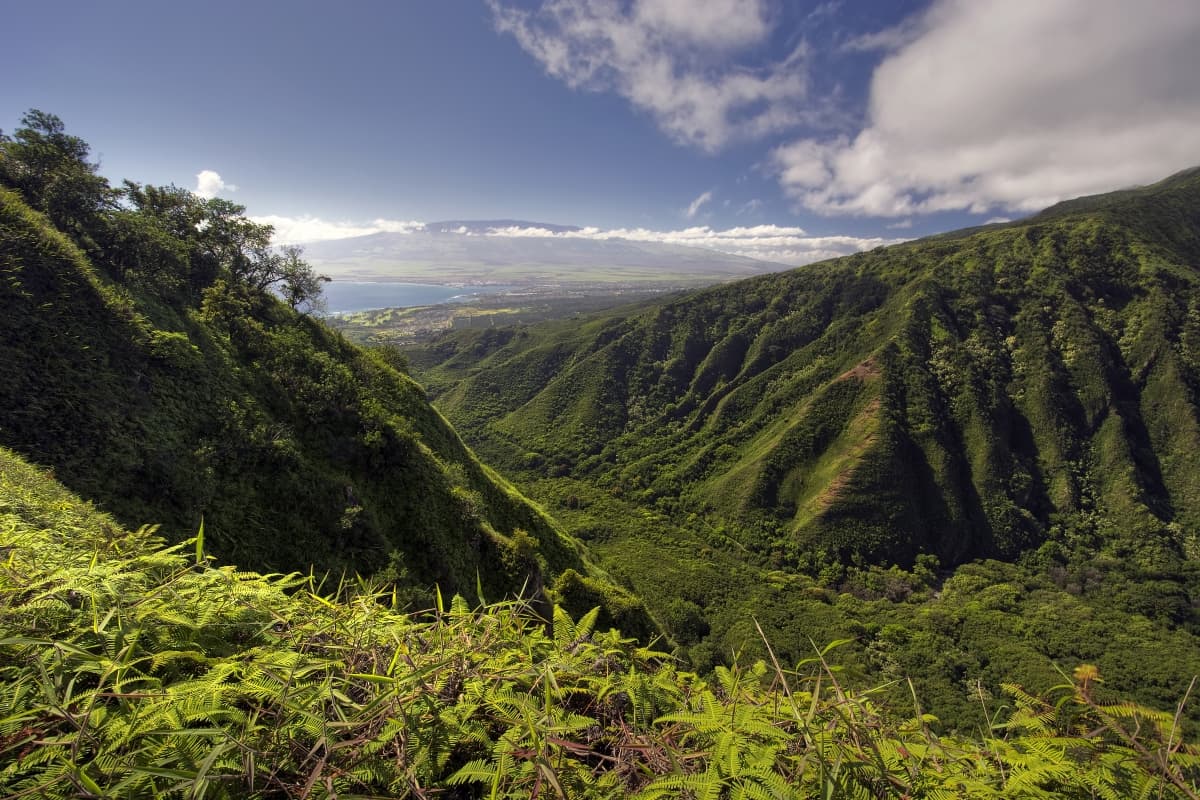 Business Class Flights To Kahului