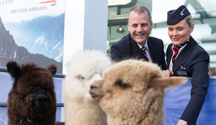 British_Airways_Alpacas