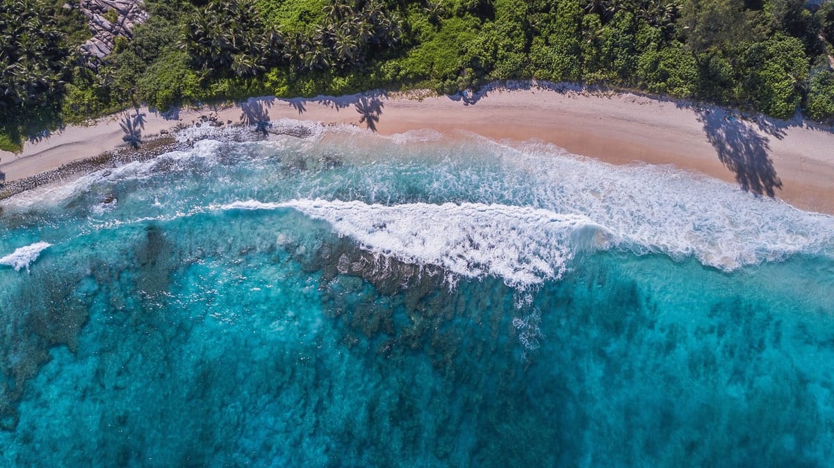 Business Class Flights to Seychelles