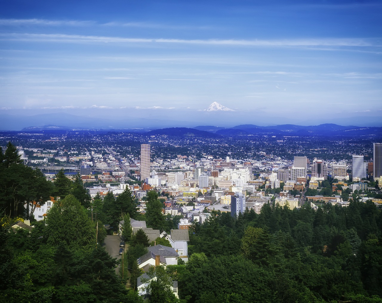 Business Flights to Portland