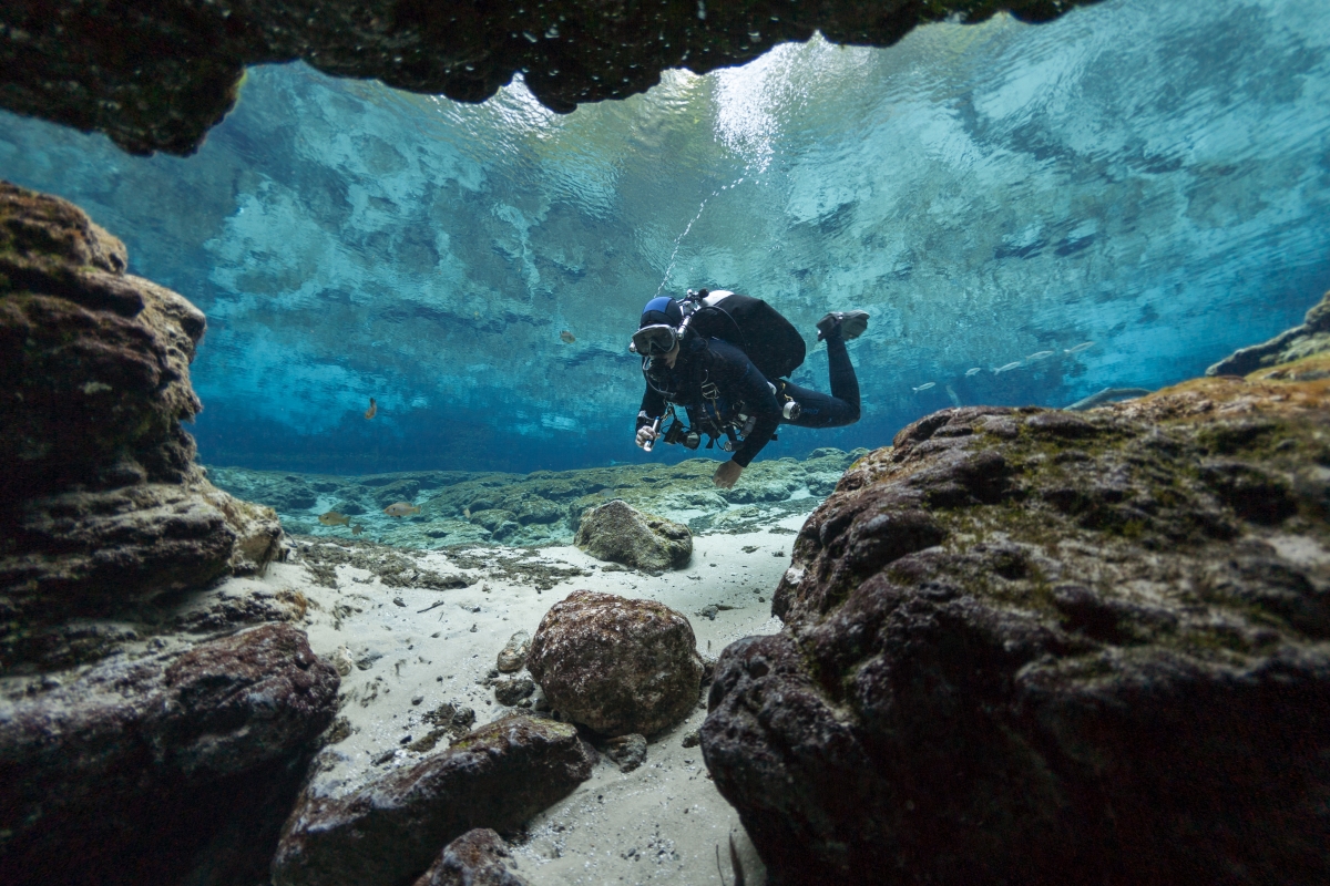 Scuba diving In Jacksonville 