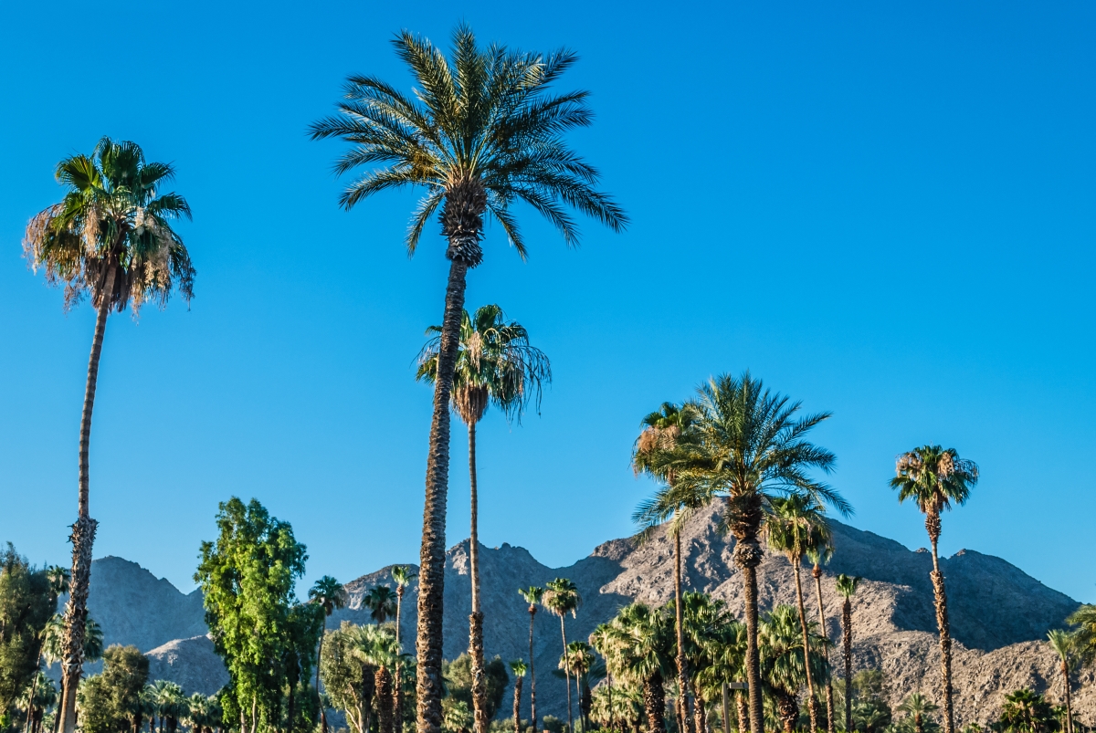 Business Class Flights to Palm Springs