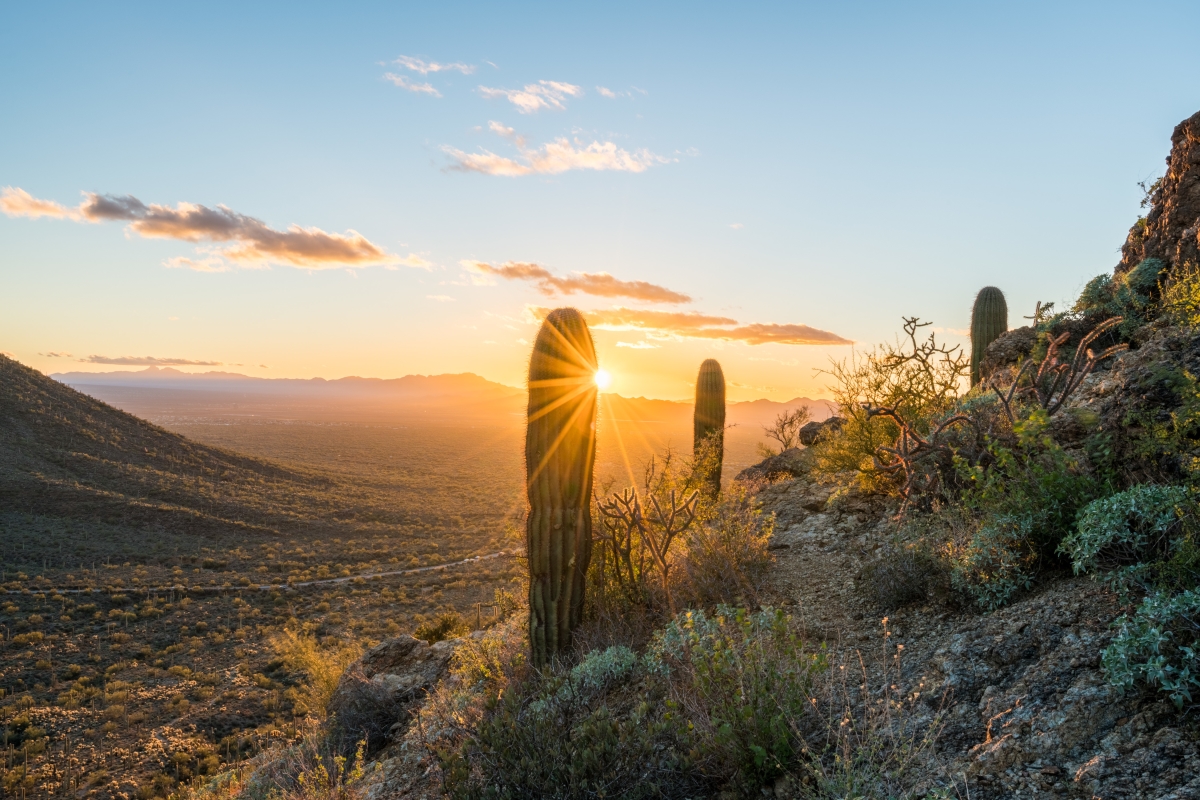 Sunset in Saguaro National Park West