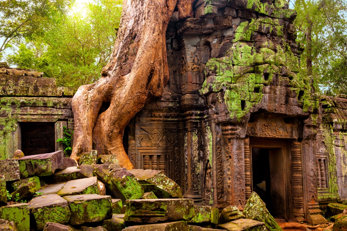 Ta Prohm Temple, Angkor Wat complex, Siem Reap, Cambodia